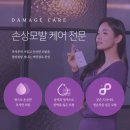 1994헤어#