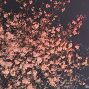 노량 해안도로길 이미지