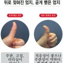 다섯 손 가락의 이름과 유래 이미지