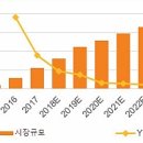 신흥문화