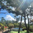 니멍내멍 이미지