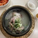 서울 삼계탕 이미지