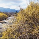 대음여성경로당 이미지