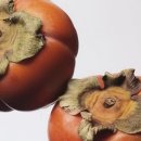 고덕패밀리한의원 이미지