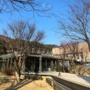 슬로우스톤 | 대구 근교 카페 비슬산 대형카페 ‘슬로우스톤’ 내돈내산 후기