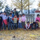 이동초등학교(병설) Daum카페