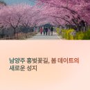 월문천1 | 남양주 데이트 장소로 ‘홍벚꽃길’이 뜨는 이유