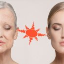 와이비케이 | 와이비케이 (YBK) 선크림 리뷰ㆍ사용 후기