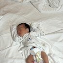 I(아이)&U(유)기공소 | [0개월 신생아 육아 기록] 성장 일기, 완모의 시작, 몸무게, 수유텀, 산후 다이어트