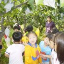 말미농장 이미지