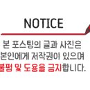 포케올데이 파주야당점 네이버블로그