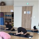 요가희