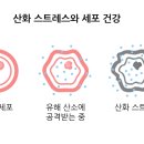 (주)우리메디칼 네이버블로그