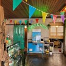 재키애견 이미지