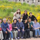 성북구치매안심센터 이미지