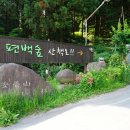 편백자연휴양림 네이버블로그