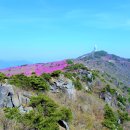 4월 23일 토요당일 -＜블랙야크100＞- 비슬산+참꽃 신청안내(28인승) 이미지