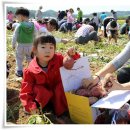 지유상도 이미지