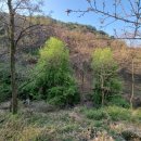 다농사거리 이미지