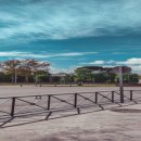 RICO가츠 이미지