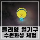 [열기구 탑승 후기] 특별했던 하늘 산책, 수원 화성 열기구 탑승 후기