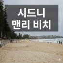 블루하우스 | 맨리 비치 해안길 투어부터 밀슨스 포인트까지의 여정