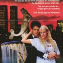 스플래쉬 이미지