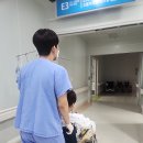아띠랑허브랑