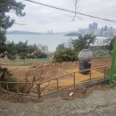 부산광역시립박물관 이미지