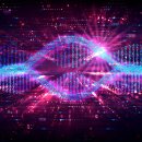 the Fitness LAB 이미지