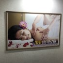 건강아로마