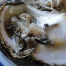 바닷가 포장마차 이미지