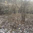 율전초 방내분교장 이미지