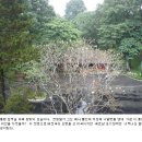 독립-16-01 이미지