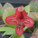 온가족의원 이미지