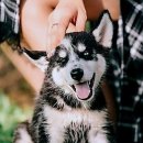 반려동물과함께하는#설렘 이미지