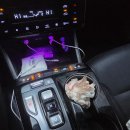 행복이비인후과의원 | 동해 누가이비인후과 비염수술 후기 2일~12일차(하비갑개 절제술)