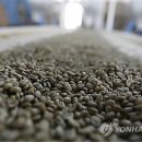 아다네일 이미지