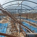 송해농장 이미지