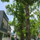용지동행정복지센터 | 가로수길] 모락 샤브 창원점 후기 (메뉴/ 가격/ 주차/ 2인세트 리뷰/ 용지동 행정 복지 센터 근처 맛집)