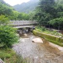 향토산채본가식당 이미지