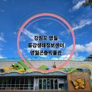영월곤충박물관 | 강원도 영월곤충박물관 아이와 가볼만 한 곳