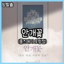 방탈출 속 전시회 포항 방탈출 후기 35 - 룸즈에이 포항점 : 안개꽃