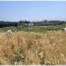 노암농장 이미지