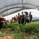 김양수농장 이미지