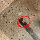 부산 출발 전라도 광주 역사 여행 후기