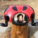 재영이네집 이미지