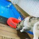 커멍커멍 이미지