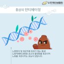 홍익홍삼