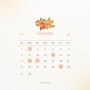 그루밍리본 이미지